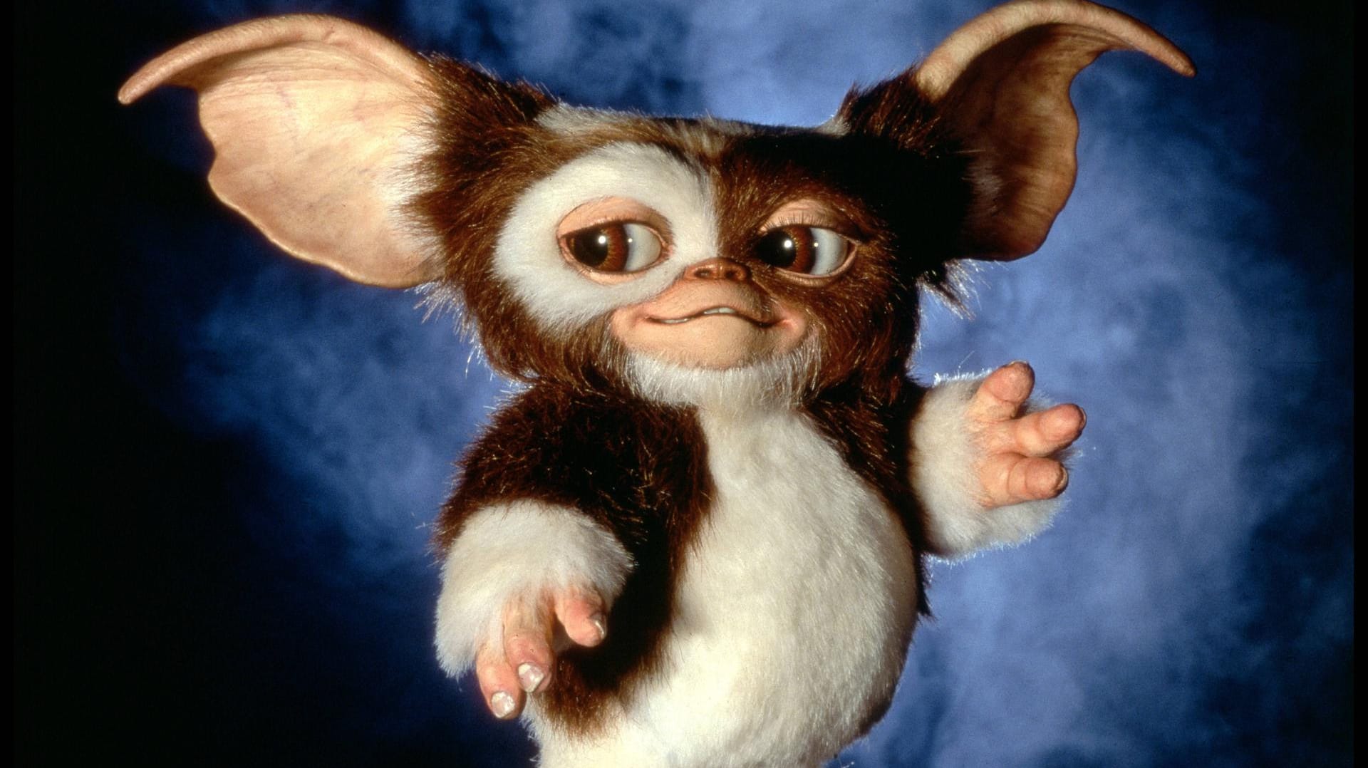 "Gremlins": Der Film über die fiesen Monster ist Kult.