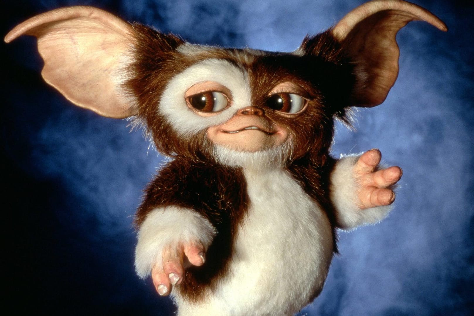 "Gremlins": Der Film über die fiesen Monster ist Kult.