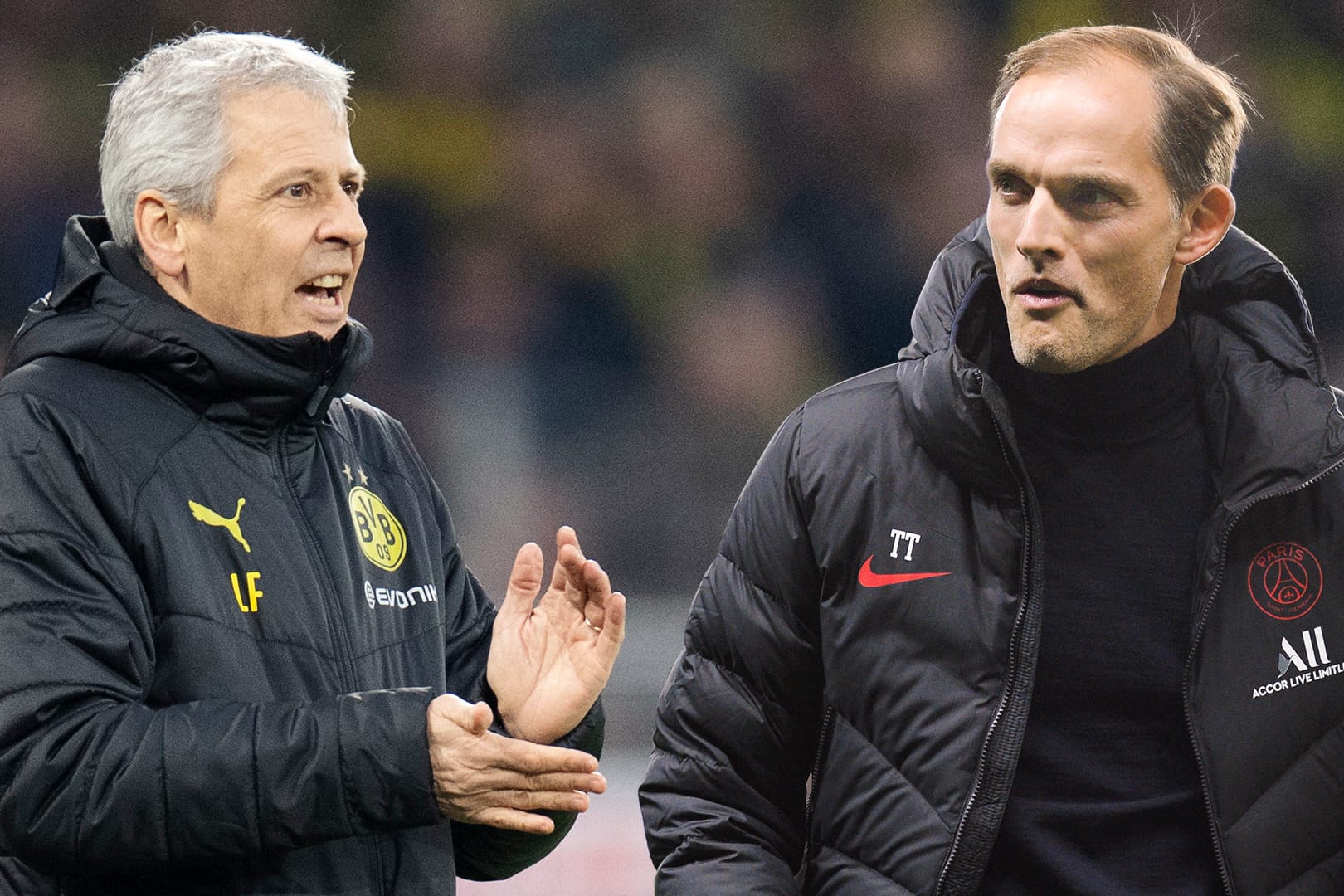 Lucien Favre trifft mit dem BVB auf einen seiner Vorgänger: Thomas Tuchel, aktuell Chefcoach bei Paris Saint-Germain.