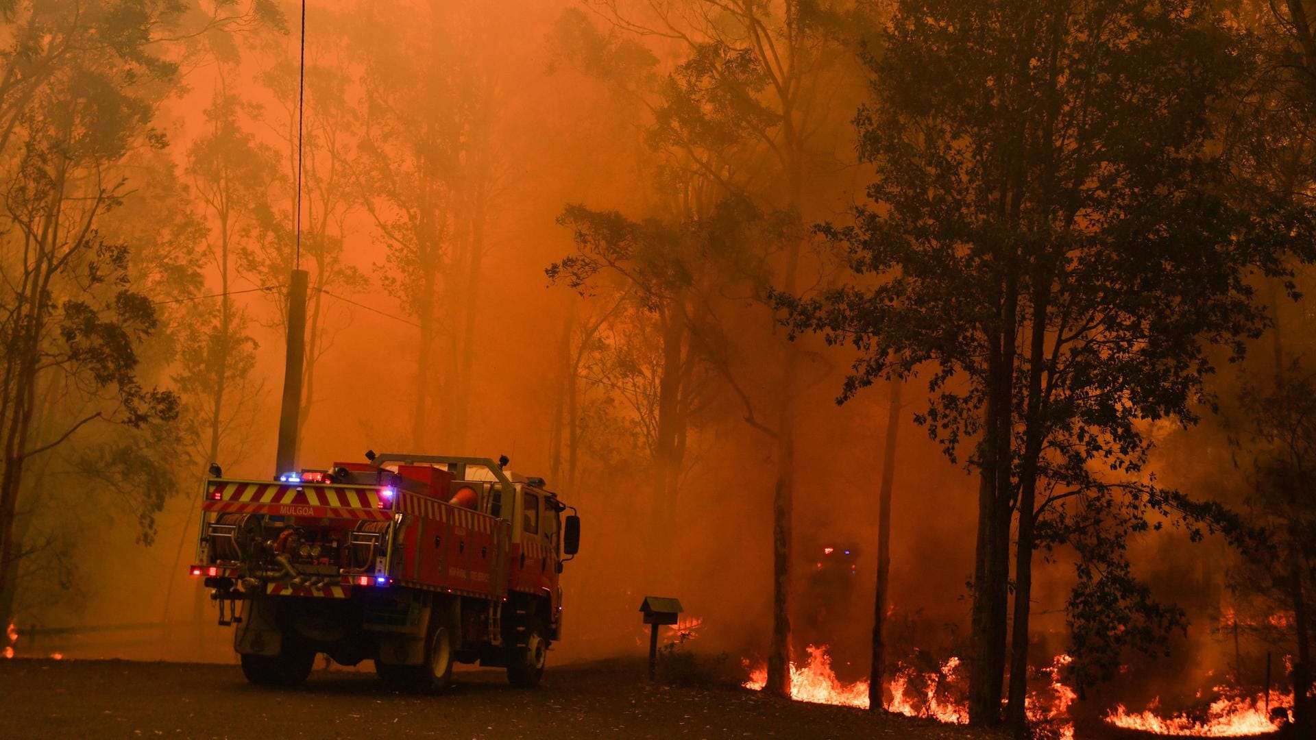 Ein Löschfahrzeug bei einem Waldbrand in der Nähe von Sydney: 2.000 Feuerwehrleute kämpfen derzeit gegen mehr als 100 Brände im Land. Ein Löschfahrzeug bei einem Waldbrand in der Nähe von Sydney: 2.000 Feuerwehrleute kämpfen derzeit gegen mehr als 100 Brände im Land.
