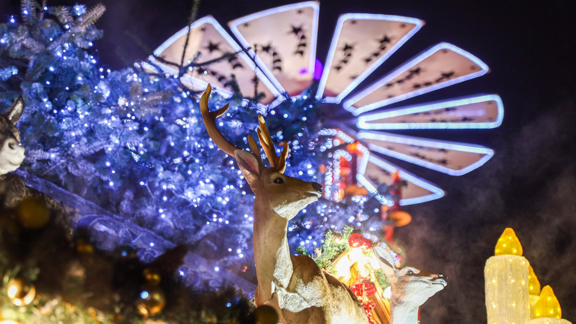 Dekoration auf einem Marktstand: Um den Standort des Weihnachtsmarktes in Karlsruhe gibt es Streit.