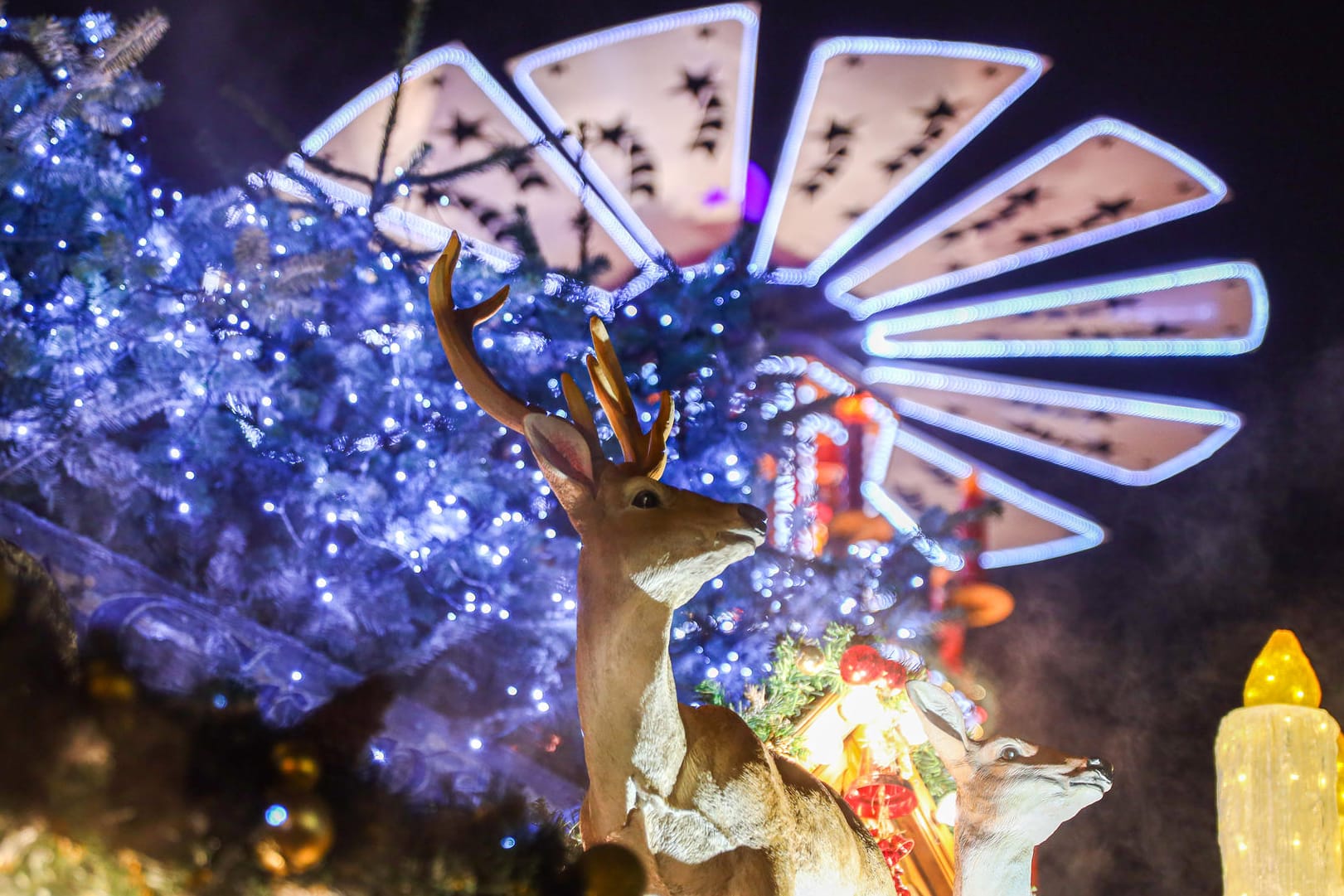 Dekoration auf einem Marktstand: Um den Standort des Weihnachtsmarktes in Karlsruhe gibt es Streit.