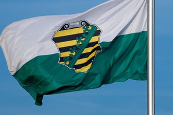 Die Flagge vom Bundesland Sachsen: Die Grünen gaben grünes Licht für die dritte Kenia-Koalition in Deutschland.