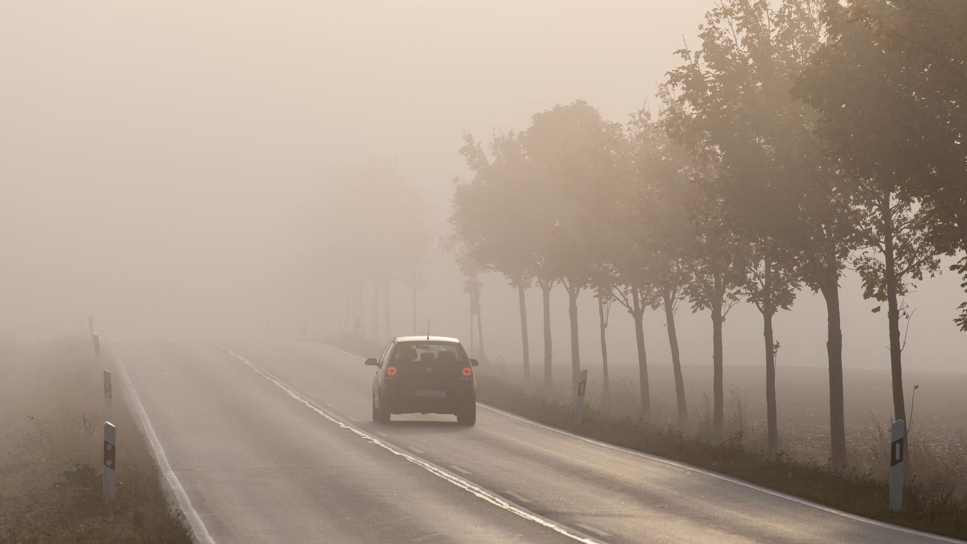 Auto auf Landstraße (Symbolbild): Ein 71-Jähriger kam mit seinem Auto von der Straße bei Lohr am Main ab, weil er das Lenkrad verriss. Auto auf Landstraße (Symbolbild): Ein 71-Jähriger kam mit seinem Auto von der Straße bei Lohr am Main ab, weil er das Lenkrad verriss.