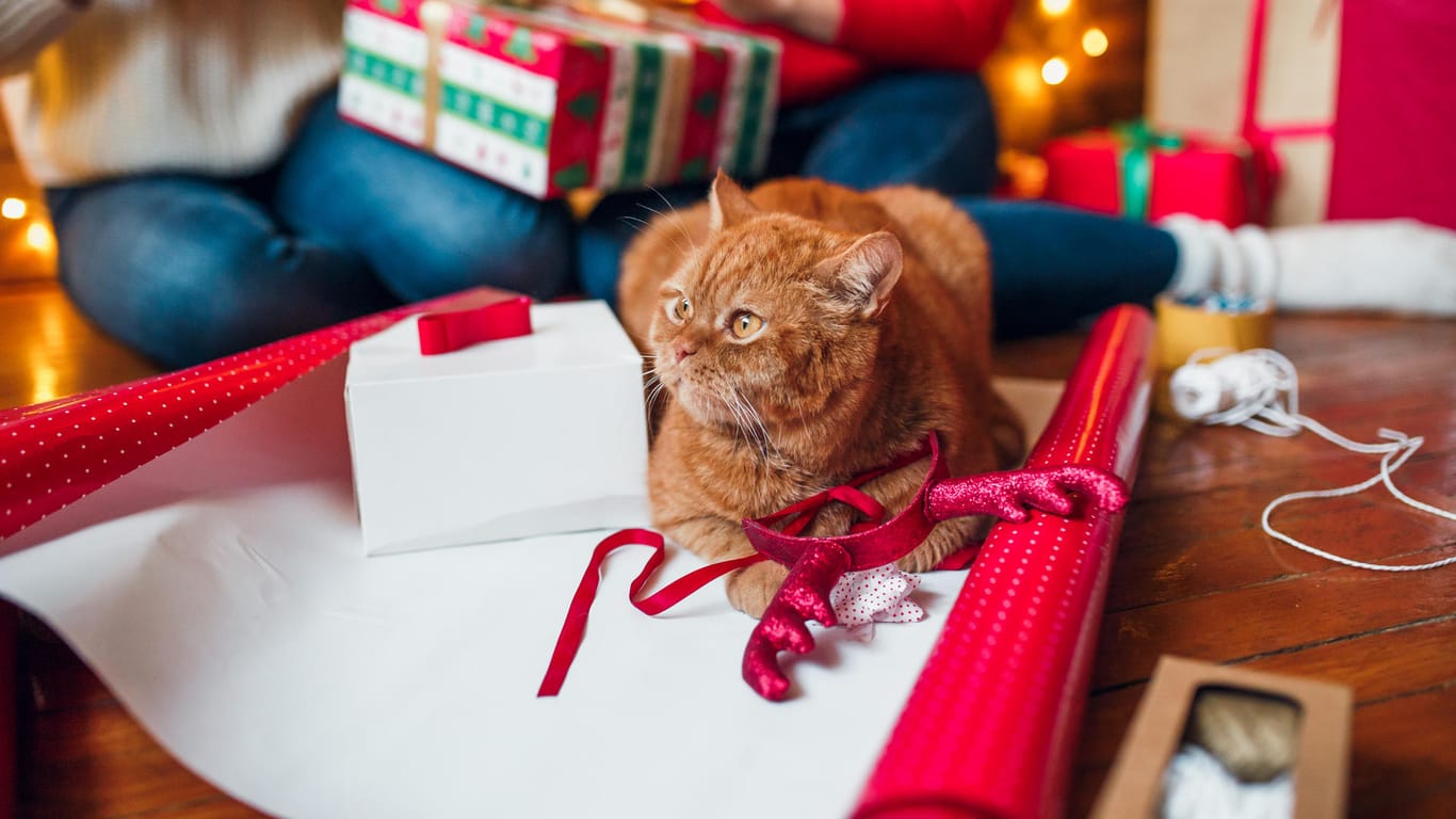 Geschenke verpacken: Passen Sie auf Ihre Haustiere auf.