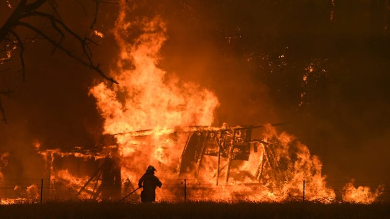 Seit Oktober haben Hunderte Buschbrände in Australien bereits mehrere Millionen Hektar Land vernichtet.