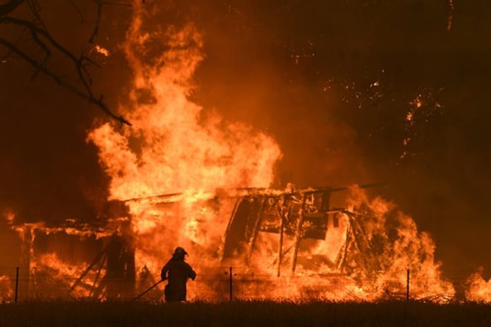 Seit Oktober haben Hunderte Buschbrände in Australien bereits mehrere Millionen Hektar Land vernichtet.