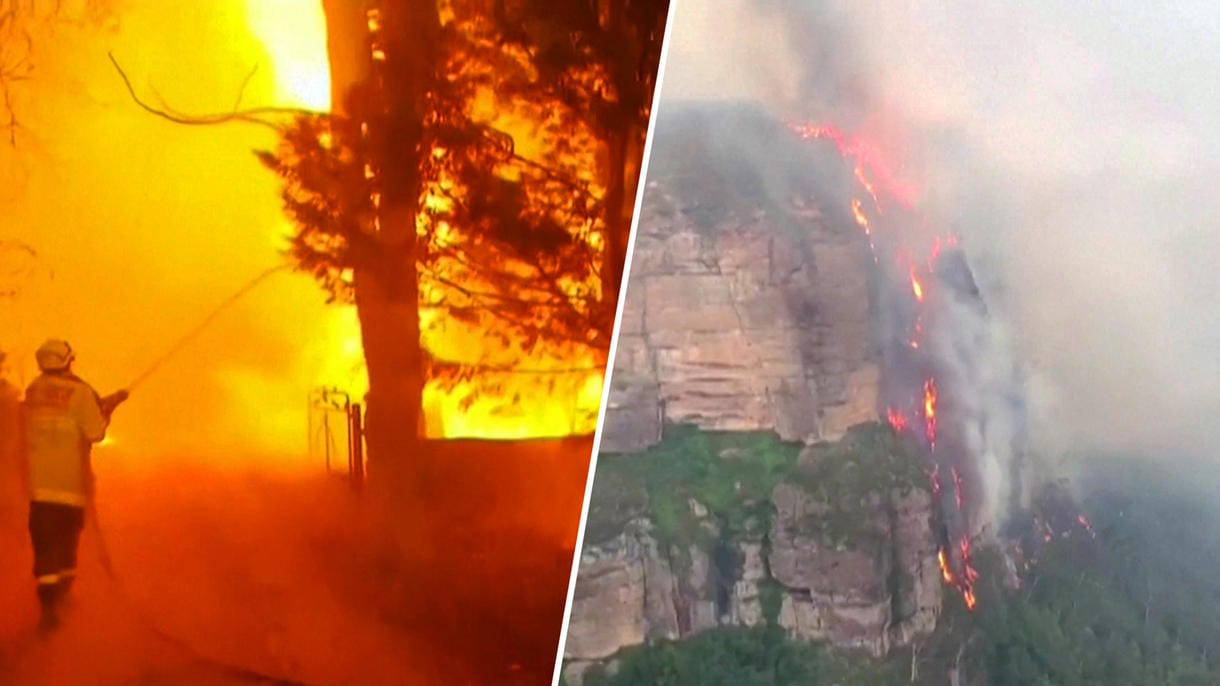 Felswände scheinen kein Hindernis: Hier klettert die Feuerschneise an der Klippe hoch.