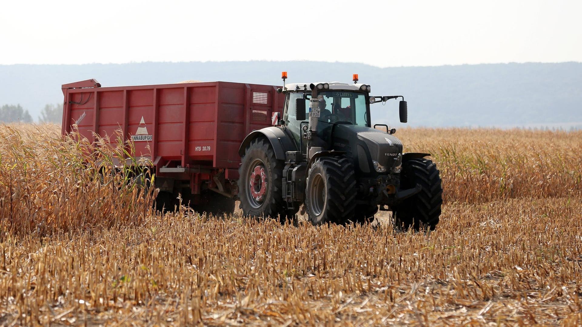 Ein Traktor auf einem Maisfeld: Die Jäger lauerten Wildschweinen auf, die sich während der Ernte in den Feld herumtrieben (Symbolbild). Ein Traktor auf einem Maisfeld: Die Jäger lauerten Wildschweinen auf, die sich während der Ernte in den Feld herumtrieben (Symbolbild).
