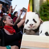 Proteste, Pandas und historische Abkommen: Auch das war das Jahr 2019.