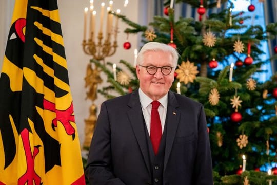 Bundespräsident Frank-Walter Steinmeier im Schloss Bellevue.