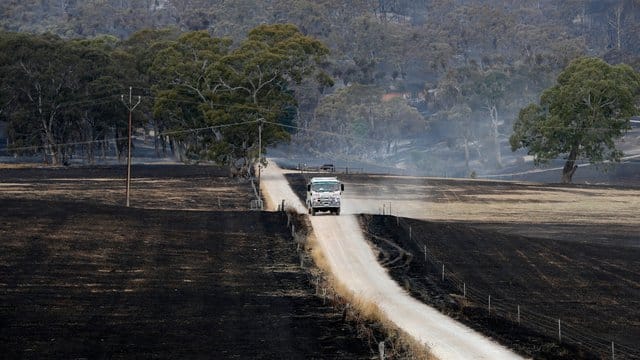Australien nach den Bränden: Ein Fahrzeug der Feuerwehr fährt durch abgebrannte Felder. Australien nach den Bränden: Ein Fahrzeug der Feuerwehr fährt durch abgebrannte Felder.