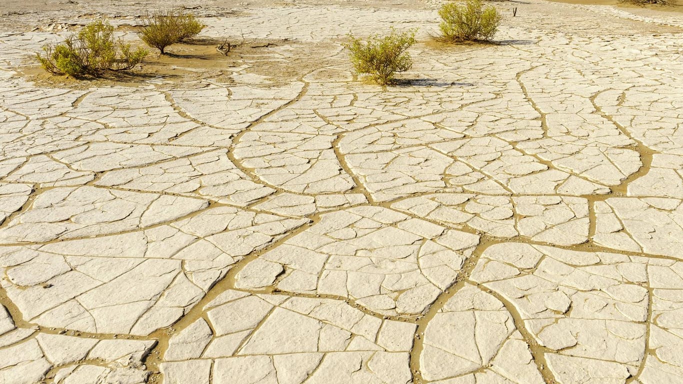 Wüstengebiet im Oman (Symbolbild): Zur Bekämpfung der Klimakrise braucht internationale Anstrengungen.