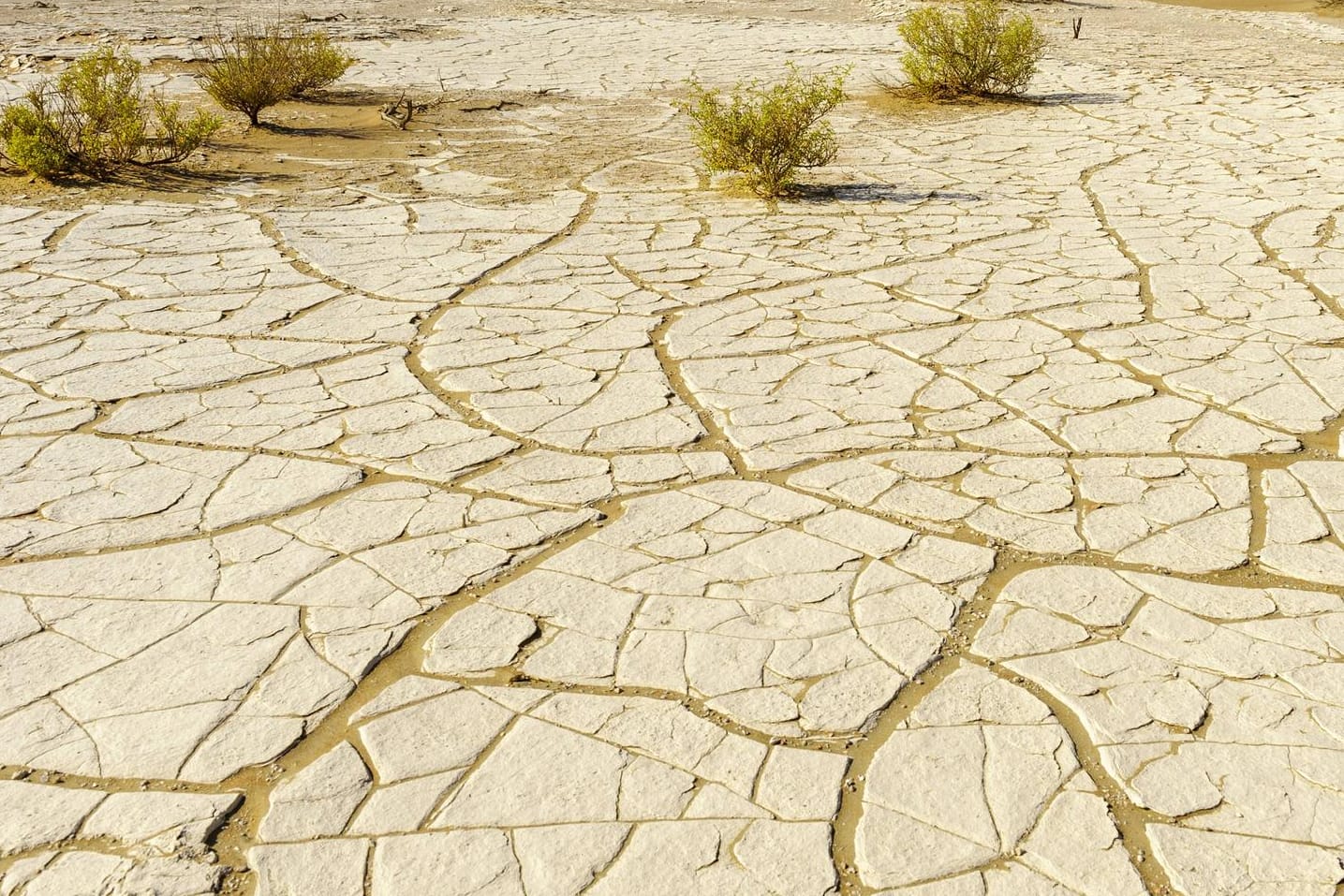 Wüstengebiet im Oman (Symbolbild): Zur Bekämpfung der Klimakrise braucht internationale Anstrengungen.