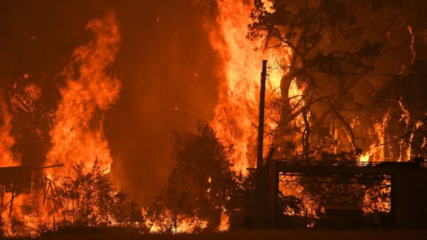 Seit Wochen kämpfen die Australier gegen eine Vielzahl an Buschbränden.