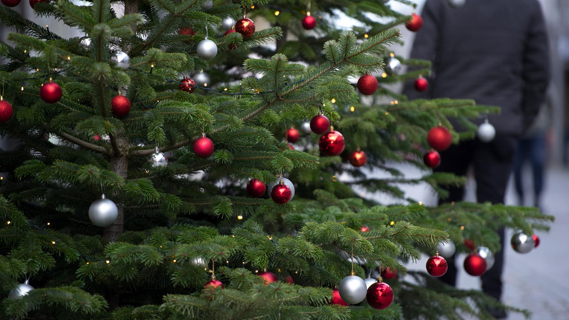 Geschmückter Weihnachtsbaum: Unbekannte haben eine Bude auf dem Wolfsbruger Weihnachtsmarkt aufgebrochen.