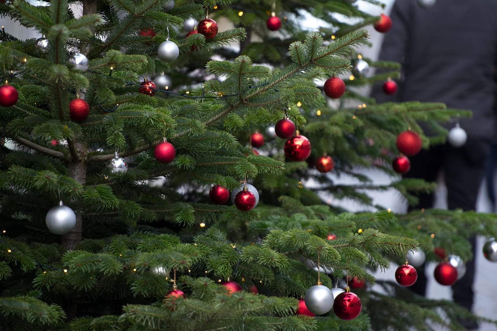 Geschmückter Weihnachtsbaum: Unbekannte haben eine Bude auf dem Wolfsbruger Weihnachtsmarkt aufgebrochen.