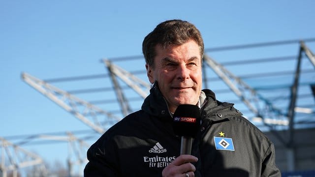 Der Hamburger Trainer Dieter Hecking im Fernsehinterview.