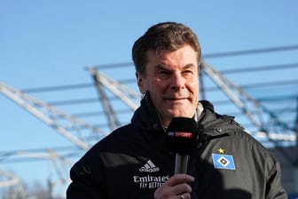 Der Hamburger Trainer Dieter Hecking im Fernsehinterview.