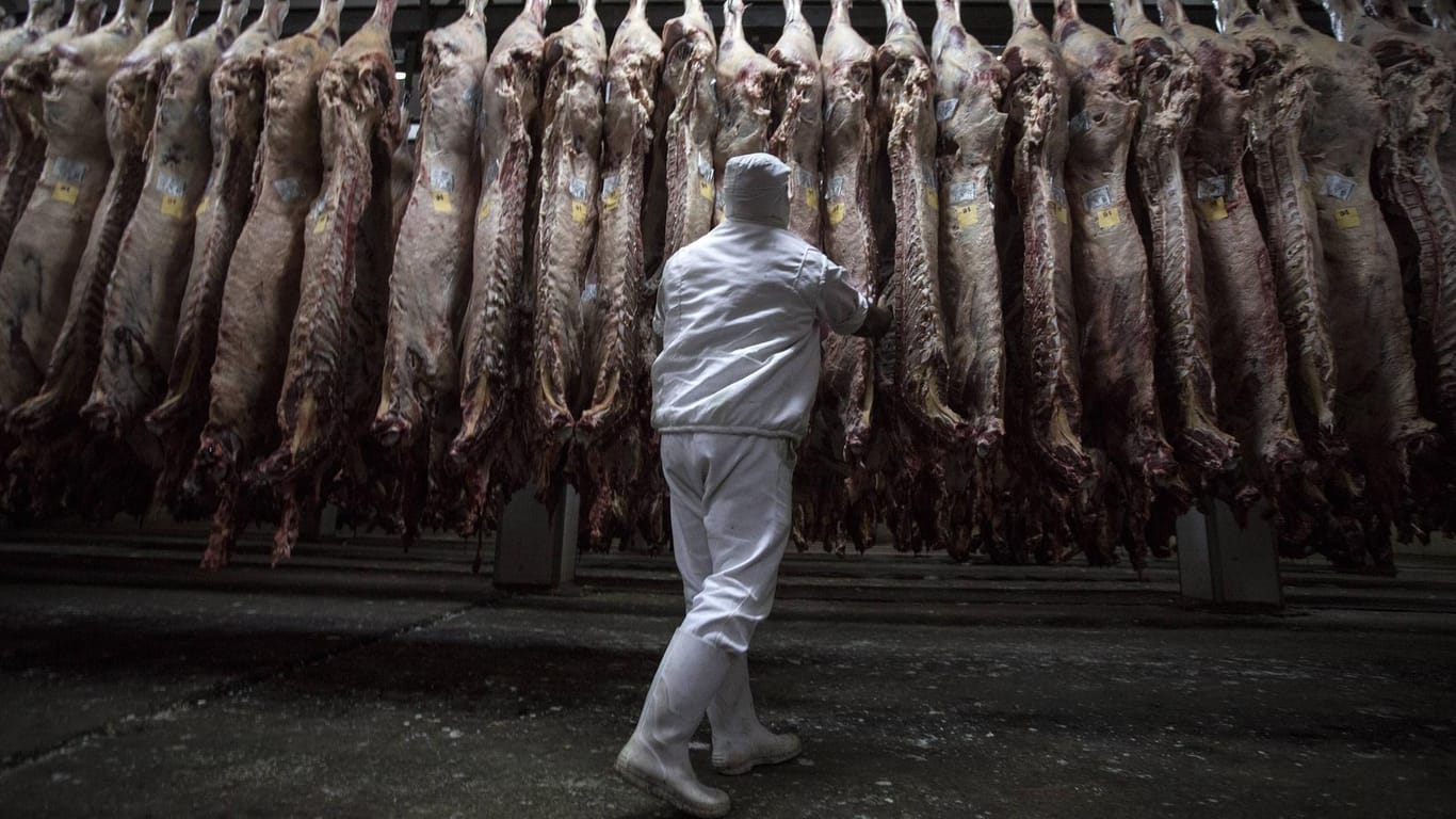 Ein Arbeiter kontrolliert Fleisch in einem Schlachthaus: Der verunglückte Mann starb sofort. (Symbolbild)
