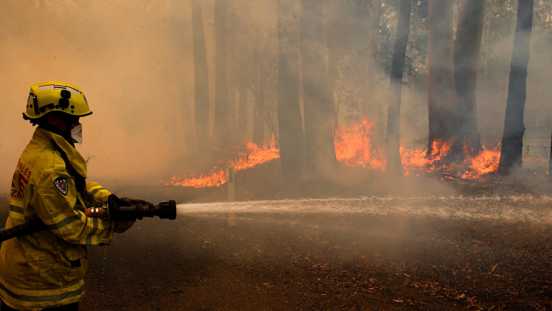 Dezember 2019: Seit Monaten toben einige der schlimmsten Buschbrände der Geschichte in Australien. Dürre, die Hitze des australischen Sommers mit über 40 Grad Celsius und spezielle Winde sorgen dafür, dass die Feuer immer wieder neu auflodern und sich teilweise zu gefährlichen Megafeuern kulminieren. Feuerwehrleute kommen bei den verzweifelten Löschversuchen ums Leben. Tausende Koalabären fallen den Flammen zum Opfer.