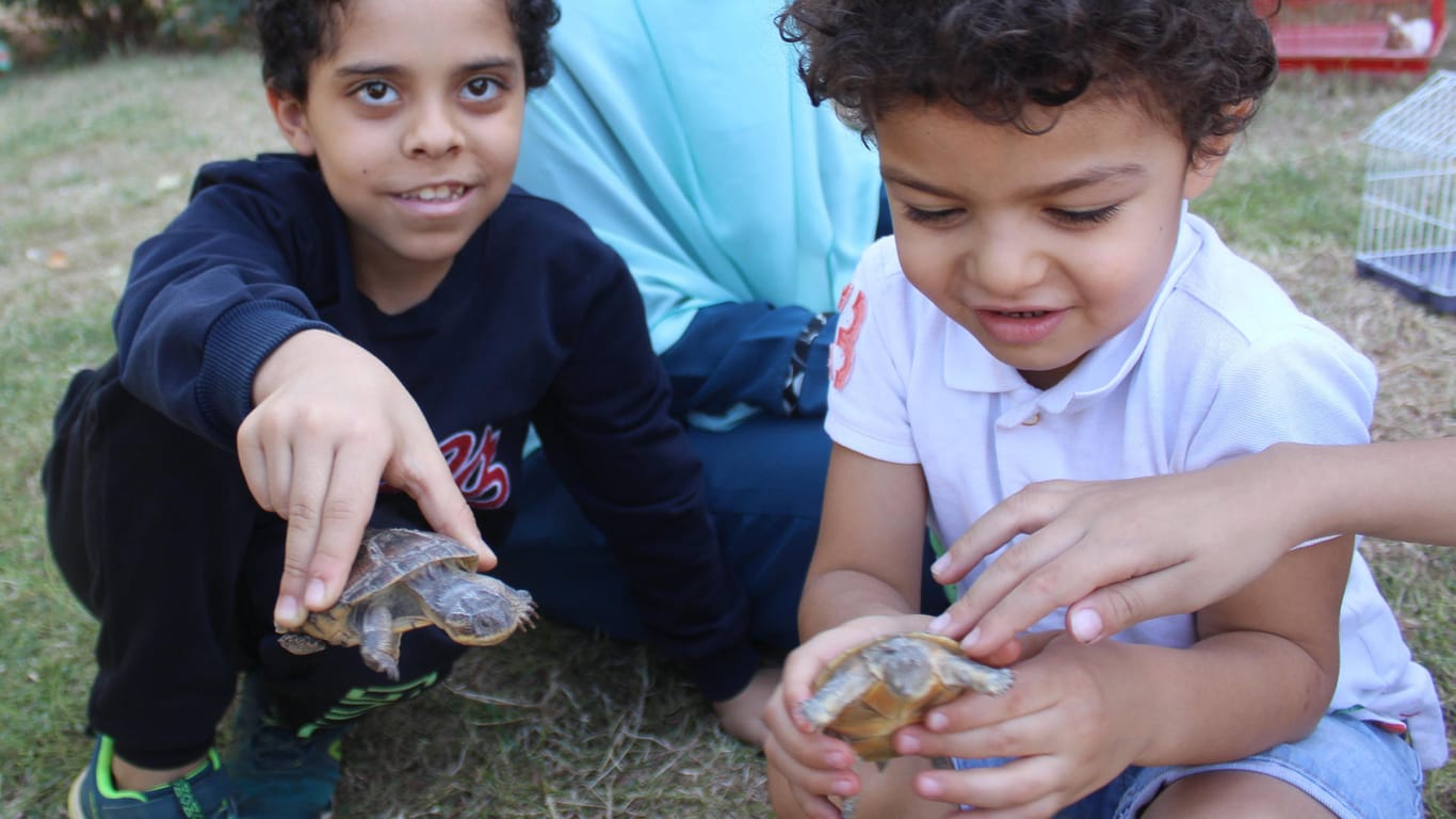 Kinder mit Schildkröten: Die Tiere stellen als Haustiere auch eine Art Anschauungsunterricht dar.