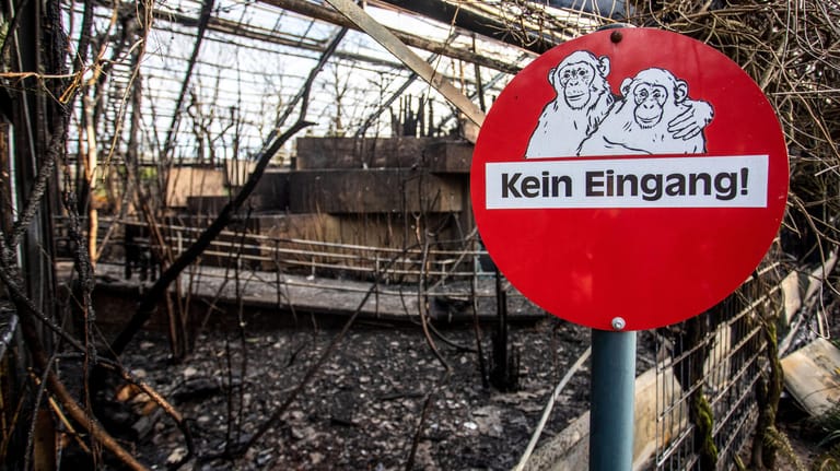 Eine brennende Himmelslaterne hat offenbar den verheerenden Brand im Affenhaus des Krefelder Zoos ausgelöst: Als Partyspaß werden die Laternen ohne Hinweise auf das Verbot verkauft.