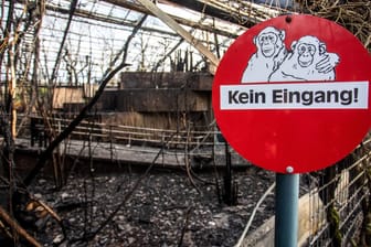 Eine brennende Himmelslaterne hat offenbar den verheerenden Brand im Affenhaus des Krefelder Zoos ausgelöst: Als Partyspaß werden die Laternen ohne Hinweise auf das Verbot verkauft.