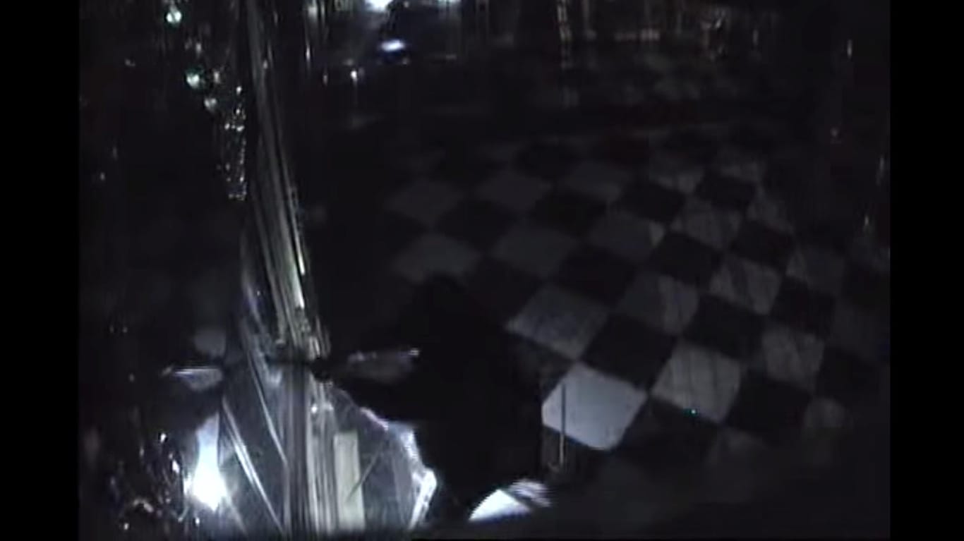 Einbruch im Grünen Gewölbe: Das Bild einer Überwachungskamera zeigt, wie einer der Einbrecher mit einer Axt eine Vitrine einschlägt.