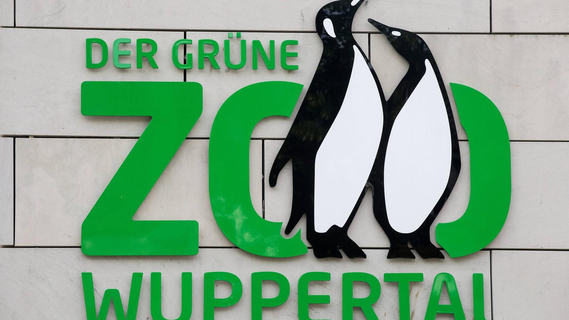 Logo des gruenen Zoos Wuppertal: Nach der Brandkatasrtrophe in Krefeld fühlt sich die Zooverwaltung gegen Feuer ausreichend geschützt. Logo des gruenen Zoos Wuppertal: Nach der Brandkatasrtrophe in Krefeld fühlt sich die Zooverwaltung gegen Feuer ausreichend geschützt.