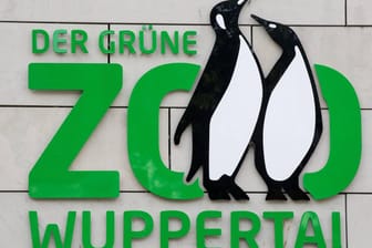 Logo des gruenen Zoos Wuppertal: Nach der Brandkatasrtrophe in Krefeld fühlt sich die Zooverwaltung gegen Feuer ausreichend geschützt.