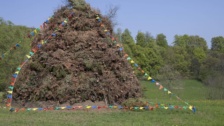 Tannenbäume aufgestapelt: Getrocknete Tannenbäume werden in einigen Orten für das Osterfeuer verwendet.