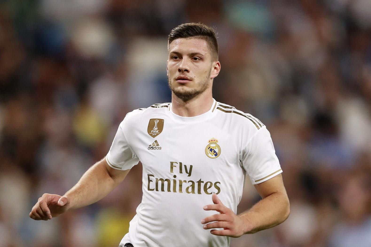 Luka Jovic: Der ehemalige Stürmer der SGE wird vom serbischen Nationaltrainer hart angegangen.
