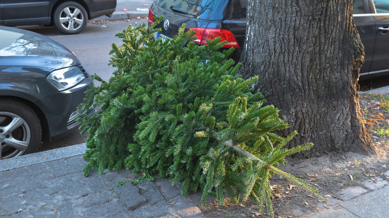 Alter Tannenbaum: Ab dem 6. Januar holen in einigen Städten die Entsorgungsbetriebe alte Weihnachtsbäume ab.