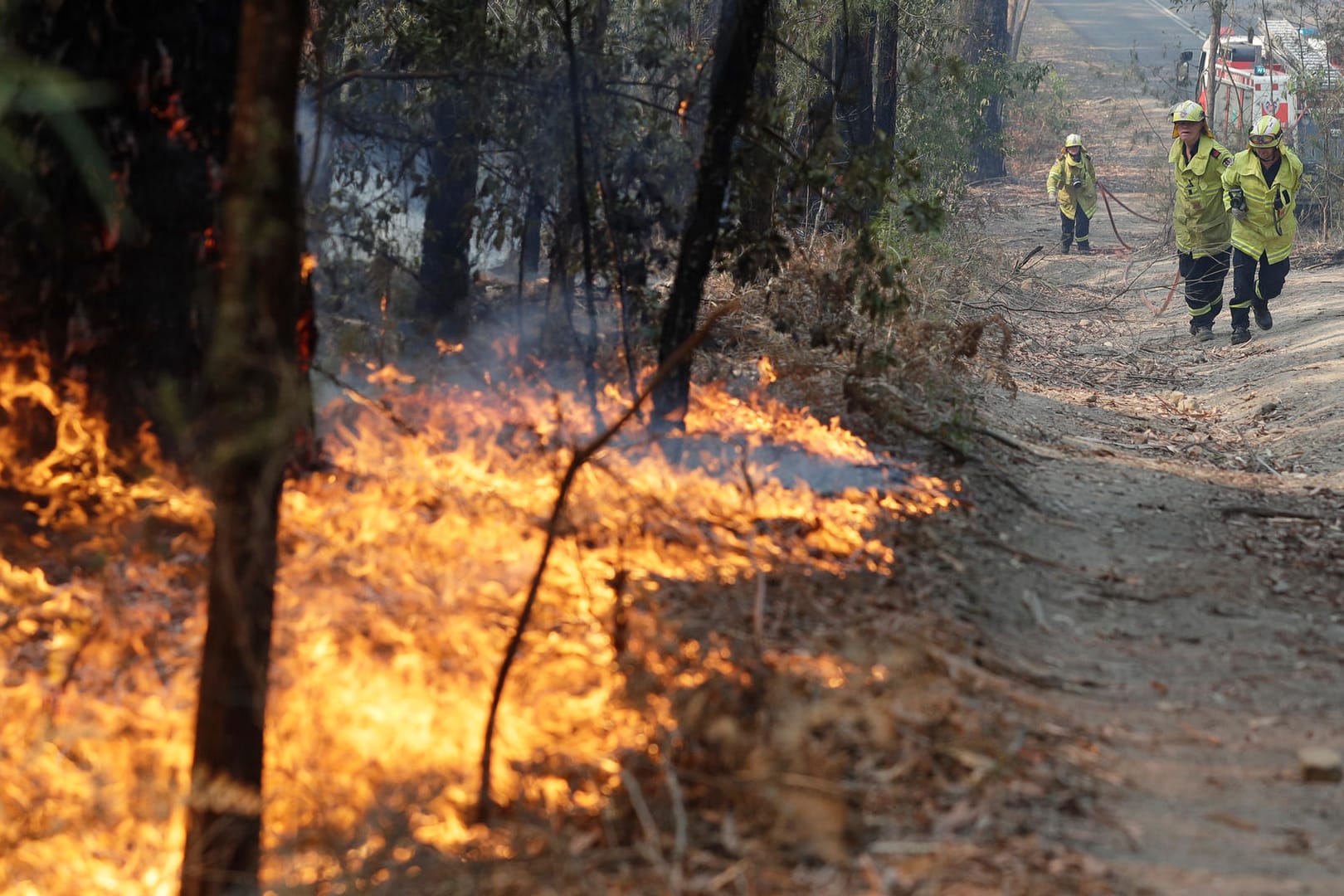 Einsatzkräfte der Feuerwehr bekämpfen die Buschbrände: Haben Sie eine Pauschalreise gebucht, sollten Sie diese nicht vorschnell stornieren.