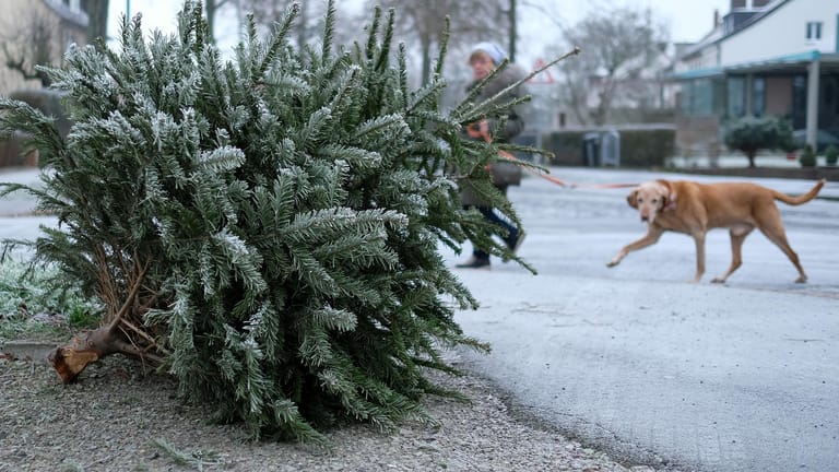 Ausgedienter Weihnachtsbaum: Noch ist nicht viel Schnee gefallen in Deutschland – das könnte sich aber ändern.