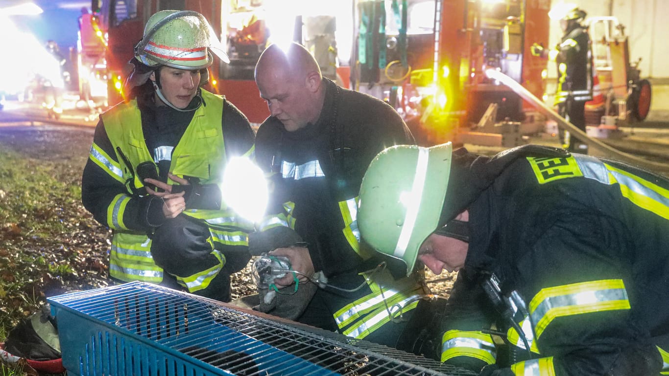 Feuerwehrleute versuchen, ein Kaninchen mit einem Sauerstoffgerät zu beatmen: Die Einsatzkräfte konnten mehrere Tiere aus den Flammen retten.