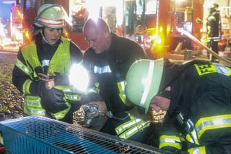 Feuerwehrleute versuchen, ein Kaninchen mit einem Sauerstoffgerät zu beatmen: Die Einsatzkräfte konnten mehrere Tiere aus den Flammen retten.