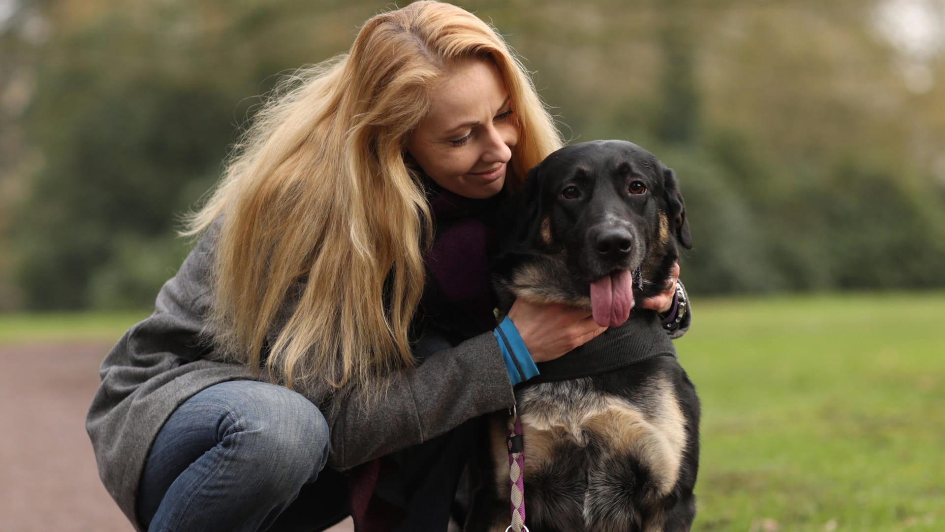 Hund: Wer einen Hund möchte, muss diesen Schritt genau überlegen.