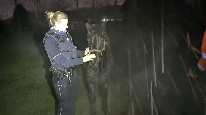 Eine Polizistin streichelt ein Pony: In Hagen sind sechs Shetlandponys von ihrer Koppel entlaufen.