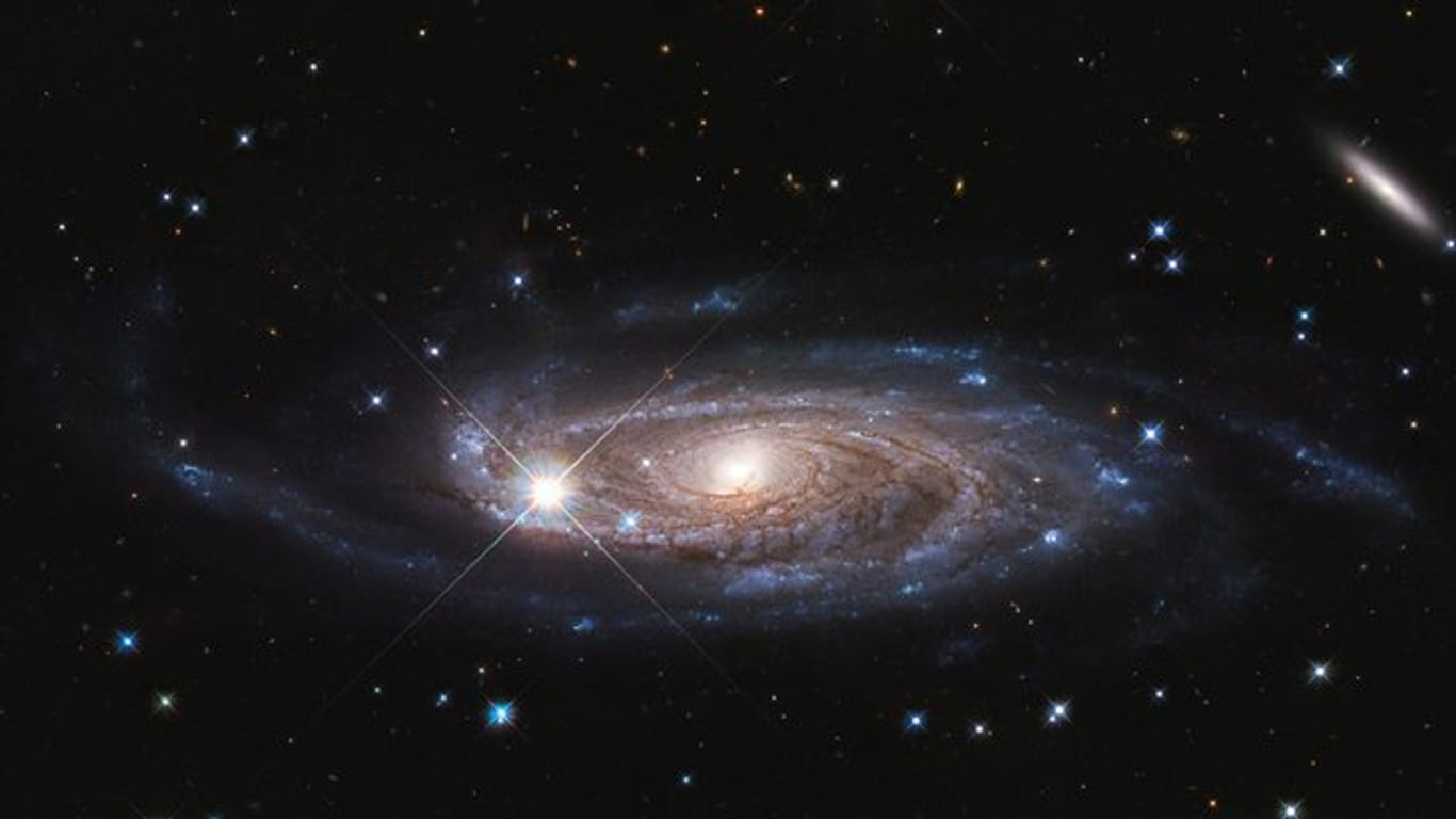 Eine undatierte Aufnahme des Hubble-Weltraumteleskops zeigt die riesige Spiralgalaxy UGC 2885, die rund 232 Million Lichtjahre von uns entfernt liegt.