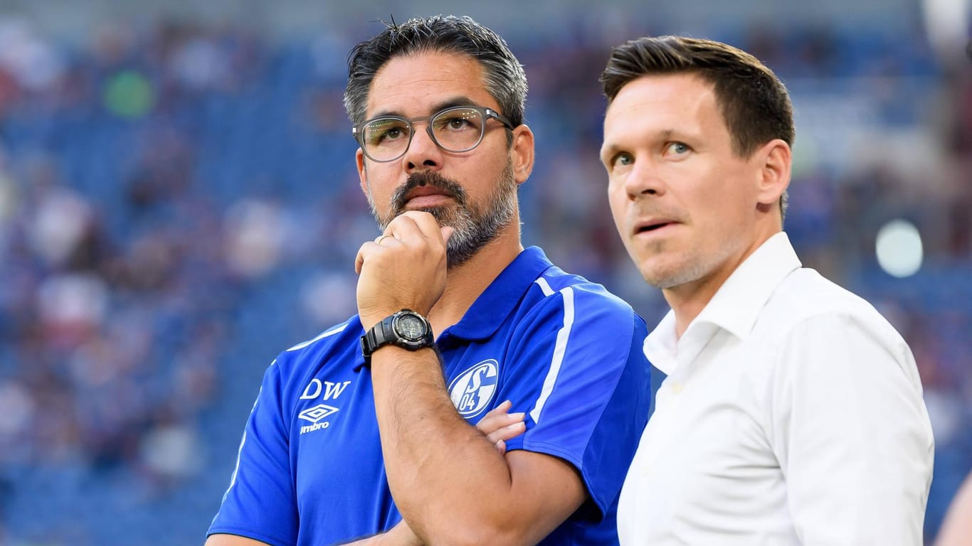 Arbeiten gemeinsam am Schalke der Zukunft: Cheftrainer David Wagner (li.) und Sascha Riether.
