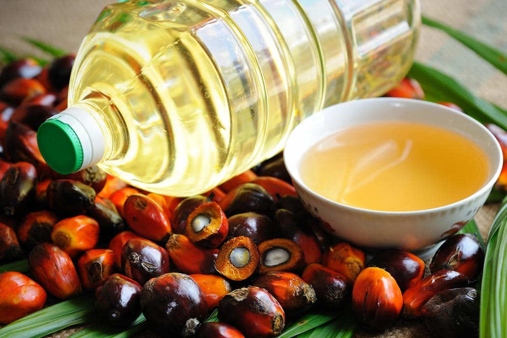 Palmöl: Für die Herstellung des Öls werden Regenwälder gerodet.