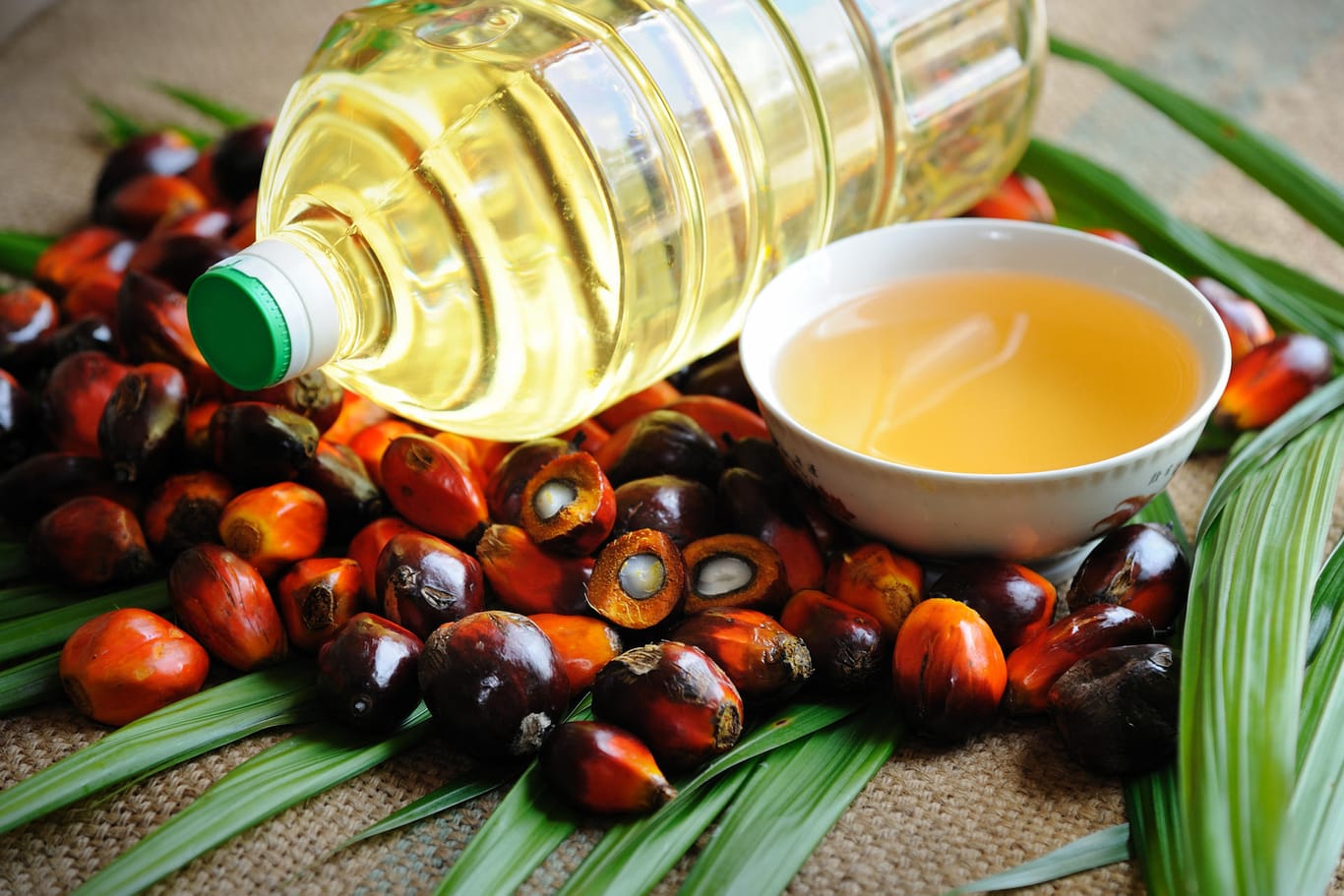 Palmöl: Für die Herstellung des Öls werden Regenwälder gerodet.