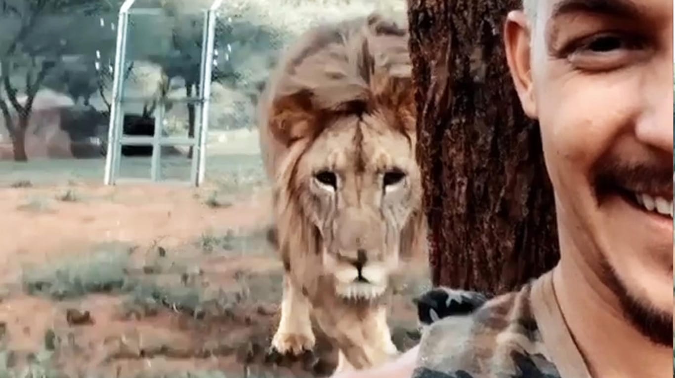 Instagram-Star Dean Schneider wird von einem Löwen überrascht.