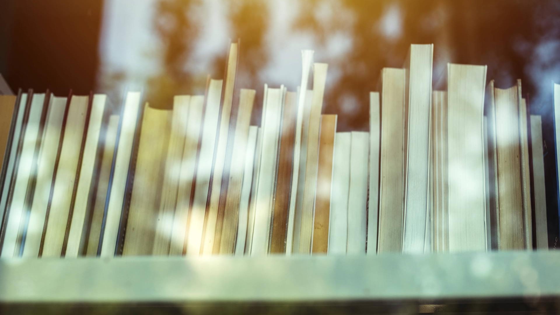 Bücher stehen in einem Regal: Die Münchner Stadtbibliotheken erweitern ihre Öffnungszeiten. Bücher stehen in einem Regal: Die Münchner Stadtbibliotheken erweitern ihre Öffnungszeiten.
