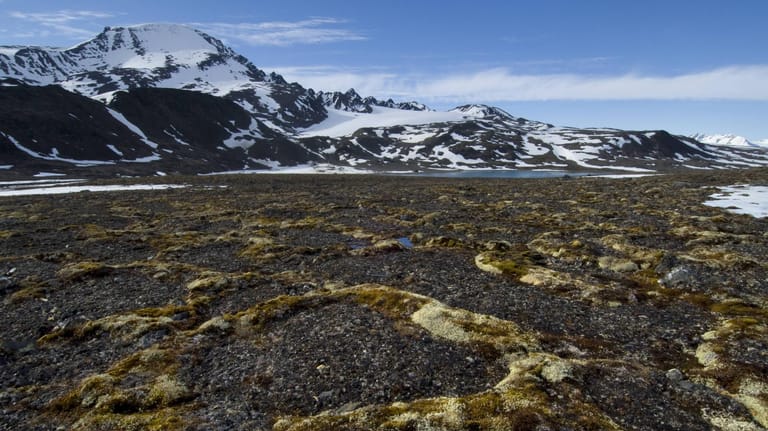 Permafrostboden in Norwegen: Rund ein Viertel der Landflächen auf der Nordhalbkugel sind Permafrostböden.
