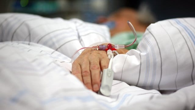 Das Borna-Virus ist selten, kann aber tödliche Folgen haben. Das Borna-Virus ist selten, kann aber tödliche Folgen haben.