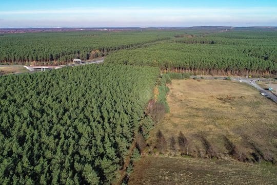 Das Güterverkehrszentrum (GVZ) Freienbrink: Hier soll das neue Tesla-Gelände entstehen.