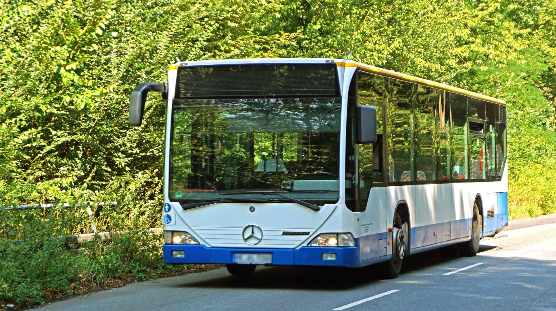 Ein Linienbus auf der Straße: Der Bus fuhr eine Straßenlaterne und einen Gartenzaun um, bevor er schließlich durch eine Mauer gestoppt wurde (Symbolbild). Ein Linienbus auf der Straße: Der Bus fuhr eine Straßenlaterne und einen Gartenzaun um, bevor er schließlich durch eine Mauer gestoppt wurde (Symbolbild).